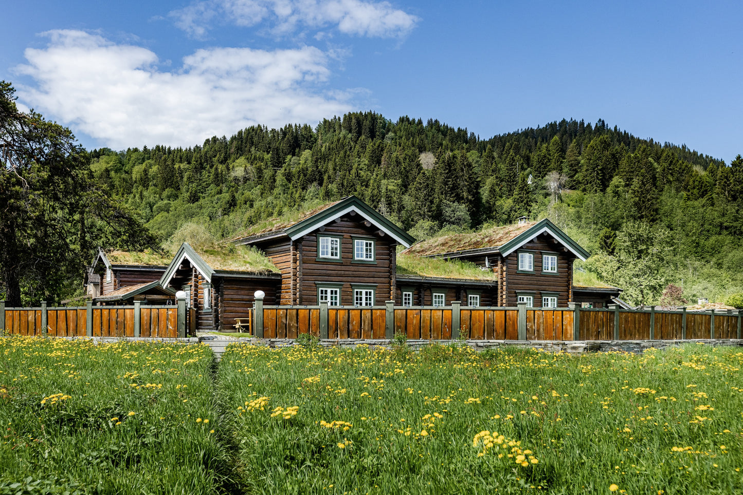 Fiskerejse - Premierefiskeri i Orkla - uge 23 - Bruhølen og Steinshølen