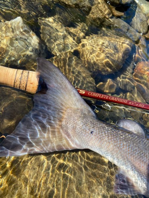 LTS Complete Graphene - Tohånds fluestang - 4-delt