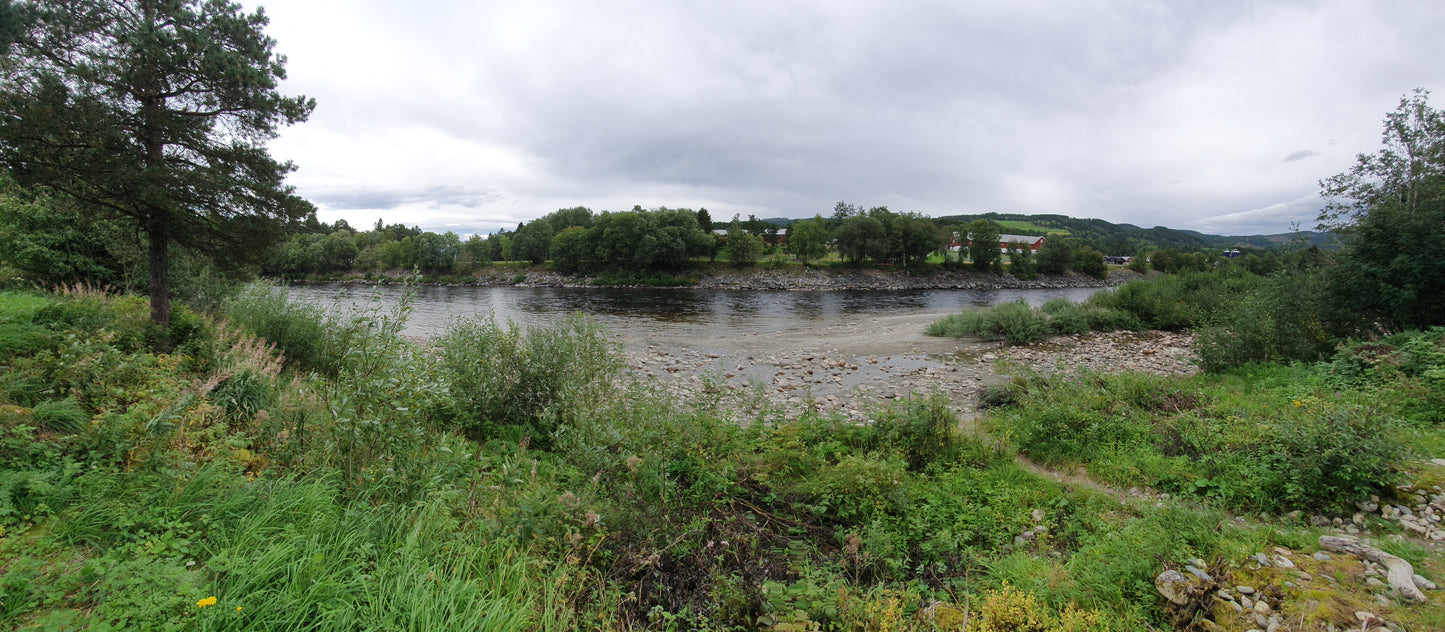 Fishing trip - Premiere fishing in Orkla - week 23 - Bruhølen and Steinshølen