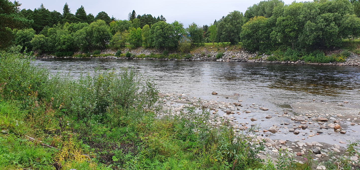 Fishing trip - Premiere fishing in Orkla - week 23 - Bruhølen and Steinshølen