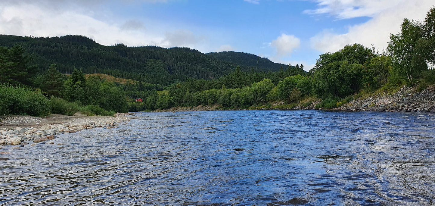 Fishing trip - Premiere fishing in Orkla - week 23 - Bruhølen and Steinshølen