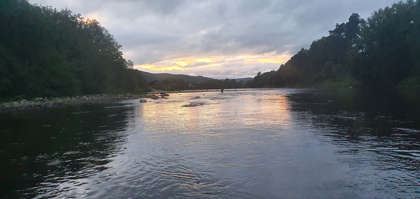 Fishing trip - Premiere fishing in Orkla - week 23 - Bruhølen and Steinshølen