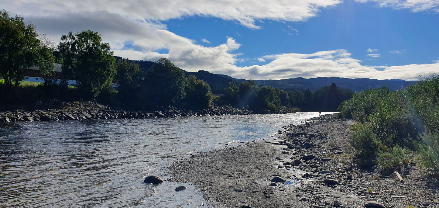 Fishing trip - Premiere fishing in Orkla - week 23 - Bruhølen and Steinshølen