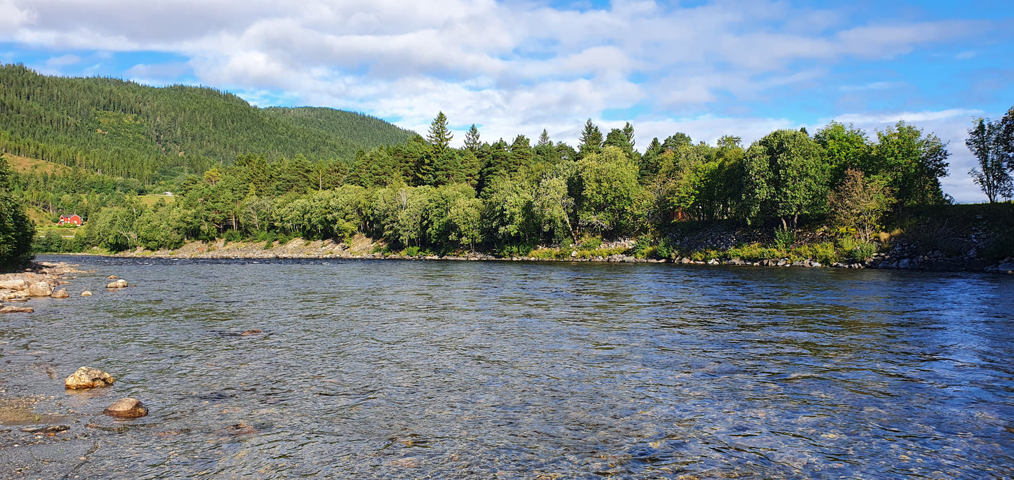 Fishing trip - Premiere fishing in Orkla - week 23 - Bruhølen and Steinshølen