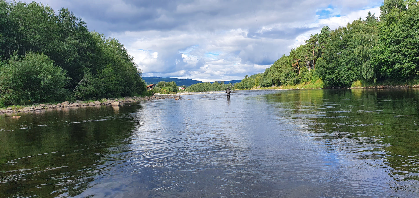 Fishing trip - Premiere fishing in Orkla - week 23 - Bruhølen and Steinshølen