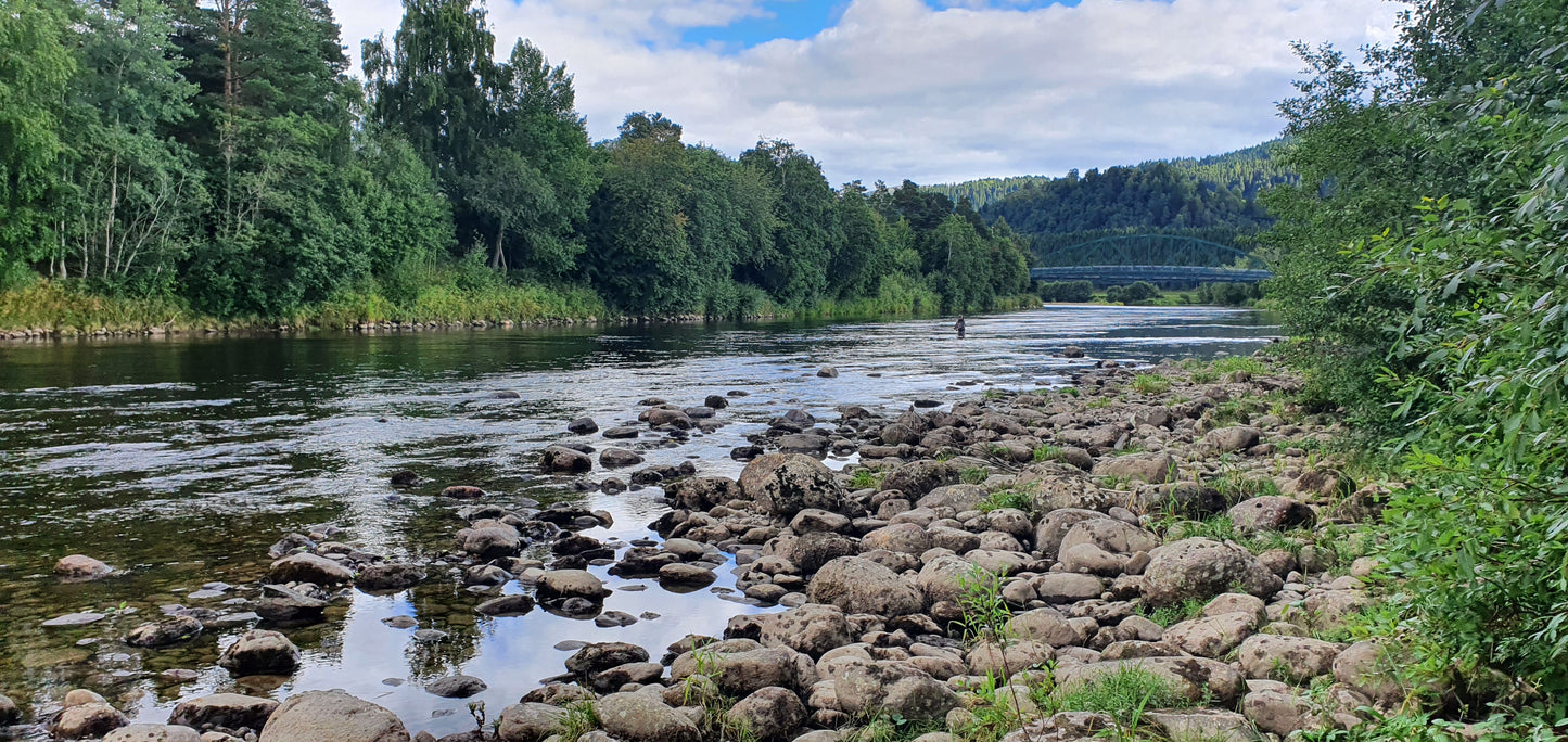 Fishing trip - Premiere fishing in Orkla - week 23 - Bruhølen and Steinshølen