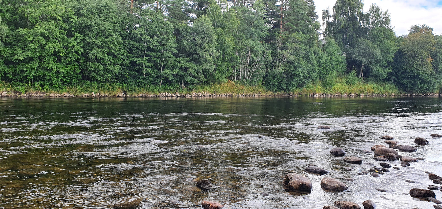 Fishing trip - Premiere fishing in Orkla - week 23 - Bruhølen and Steinshølen