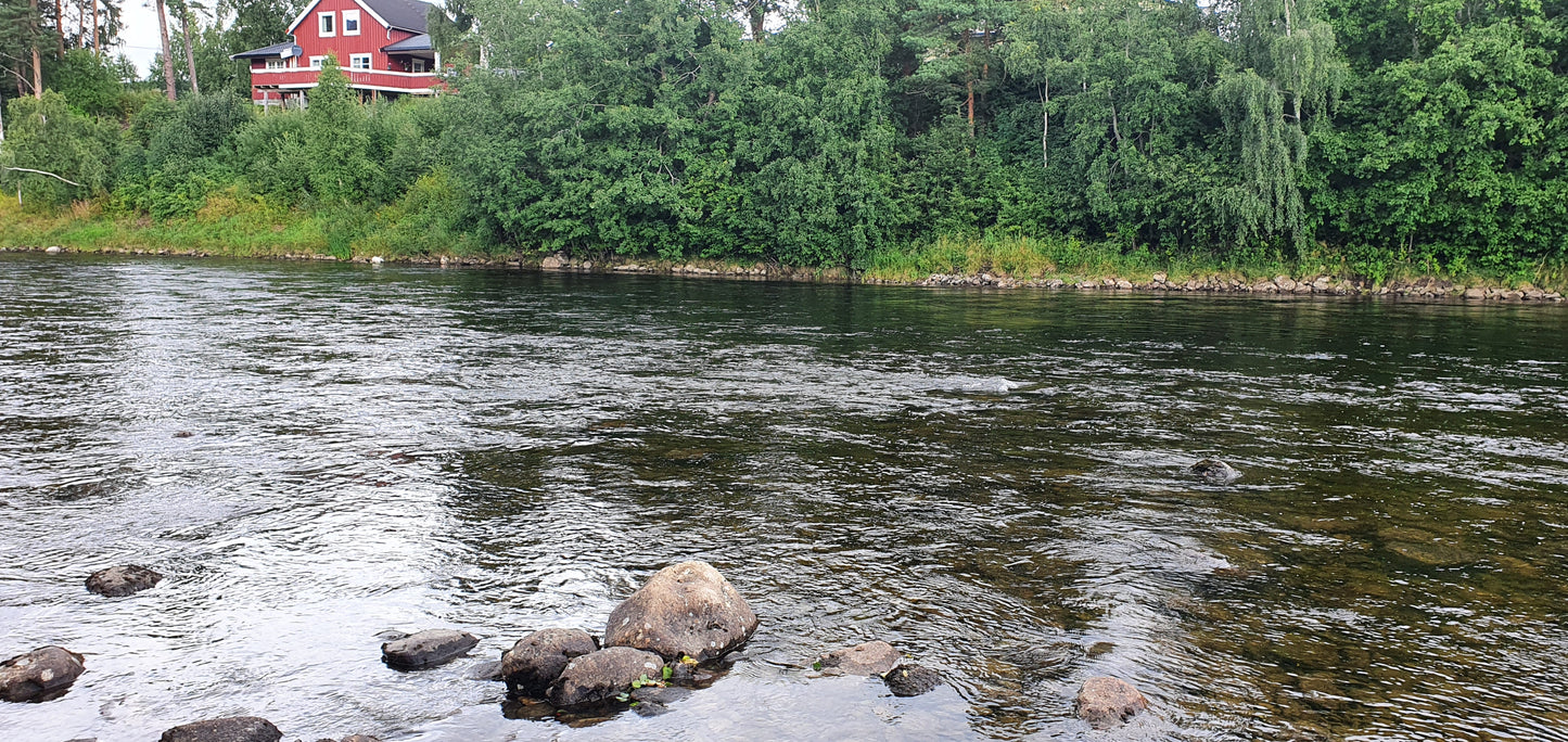 Fishing trip - Premiere fishing in Orkla - week 23 - Bruhølen and Steinshølen