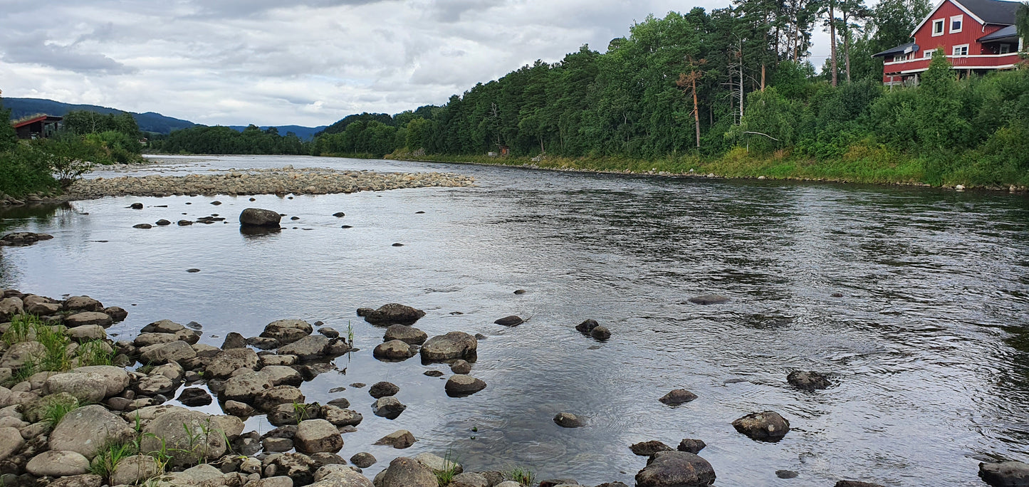 Fishing trip - Premiere fishing in Orkla - week 23 - Bruhølen and Steinshølen
