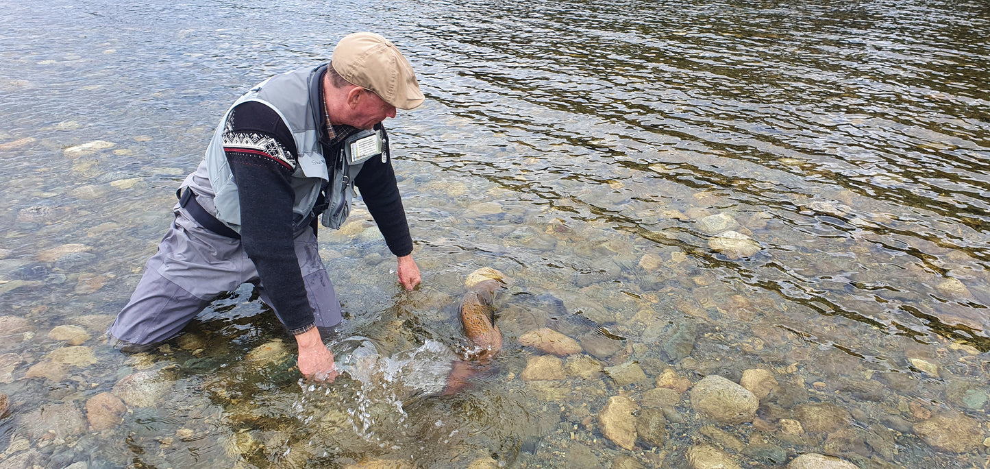 Fishing trip - Premiere fishing in Orkla - week 23 - Bruhølen and Steinshølen