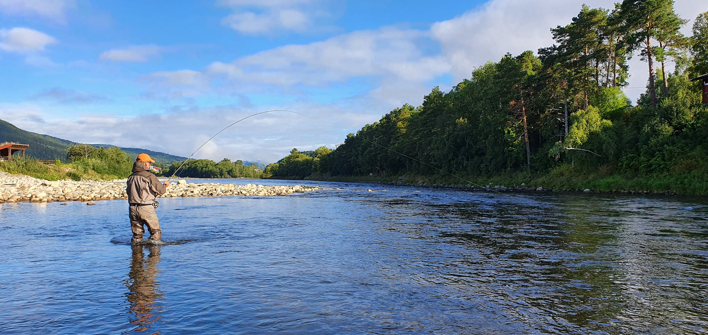 Fishing trip - Premiere fishing in Orkla - week 23 - Bruhølen and Steinshølen