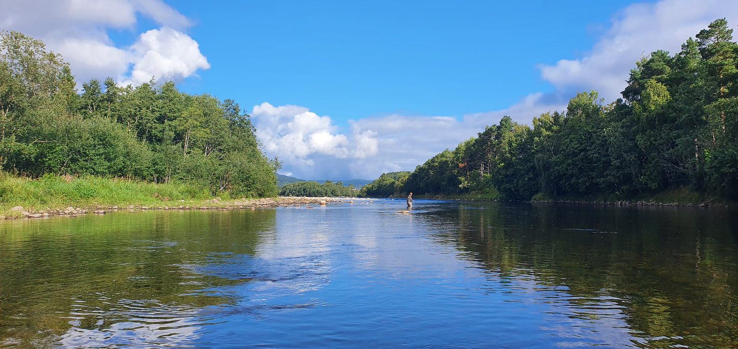 Fishing trip - Premiere fishing in Orkla - week 23 - Bruhølen and Steinshølen
