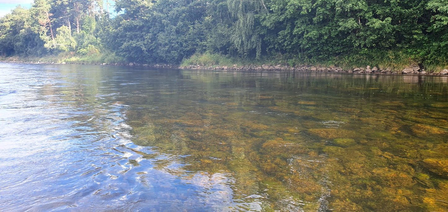 Fishing trip - Premiere fishing in Orkla - week 23 - Bruhølen and Steinshølen
