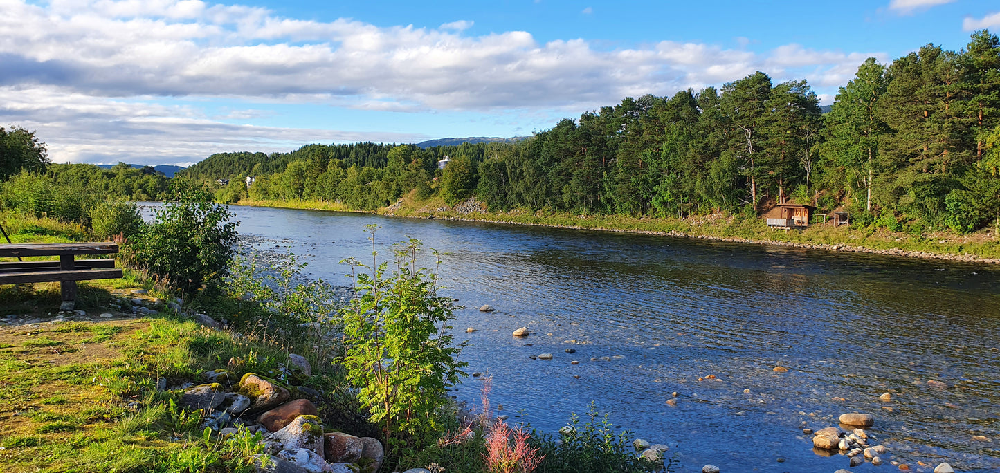 Fishing trip - Premiere fishing in Orkla - week 23 - Bruhølen and Steinshølen