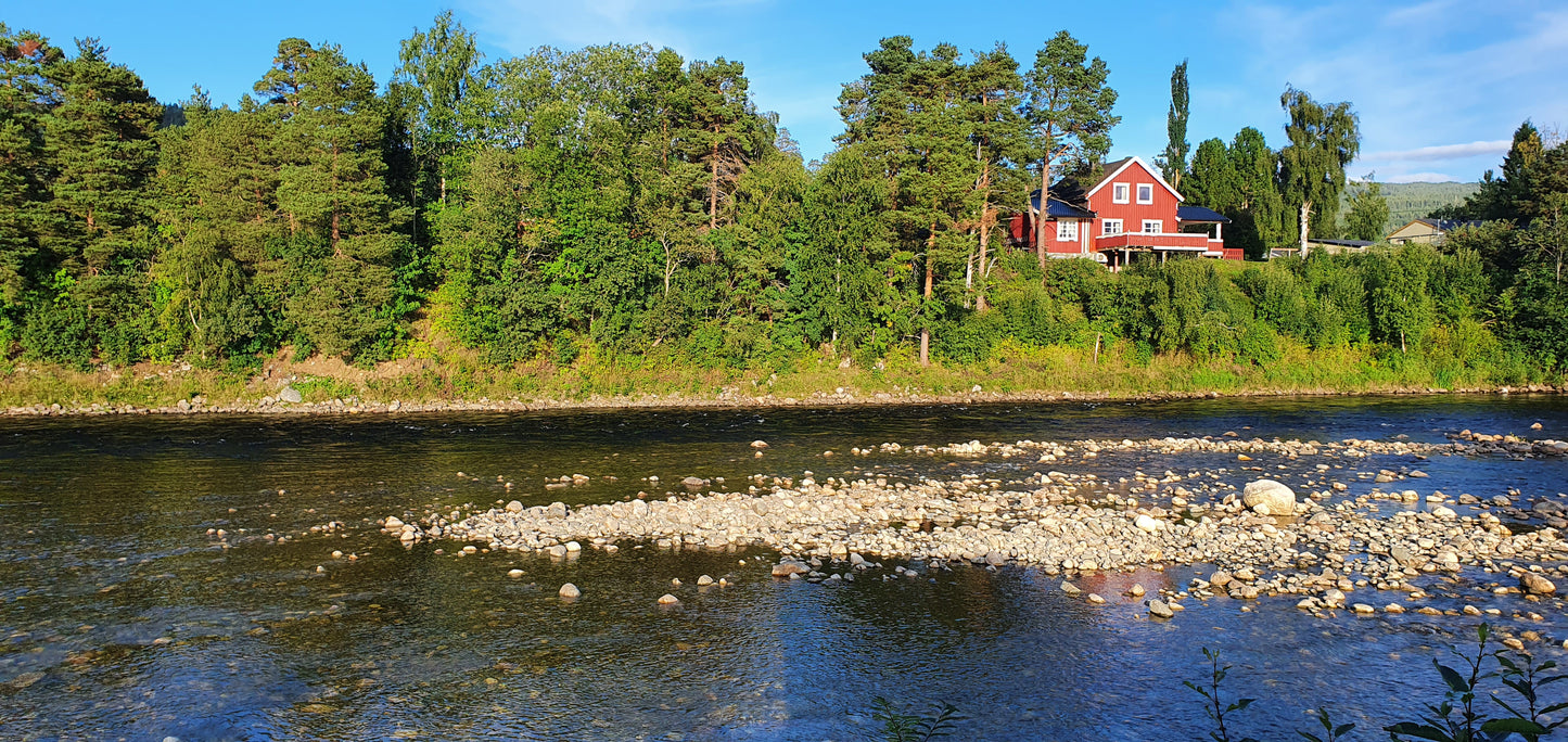 Fishing trip - Premiere fishing in Orkla - week 23 - Bruhølen and Steinshølen