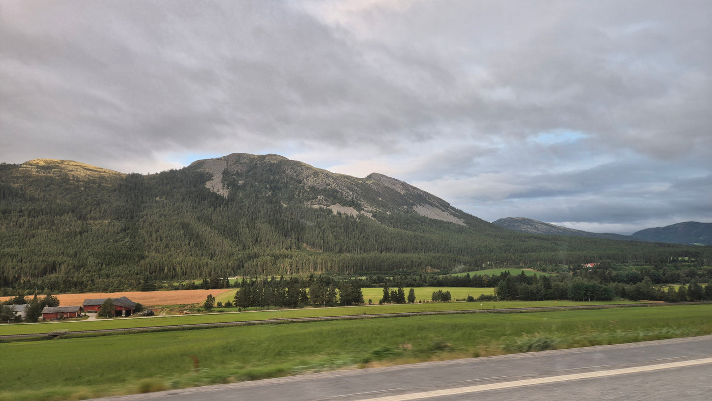 Fishing trip - Orkla - week 35 - Øverøyen, Vella Snoen & Unnteigen