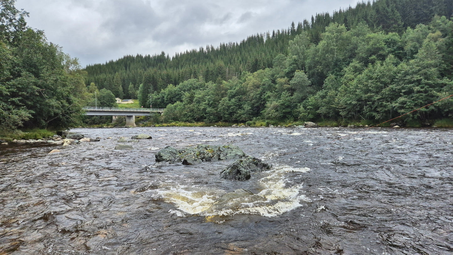 Fishing trip - Orkla - week 35 - Øverøyen, Vella Snoen & Unnteigen