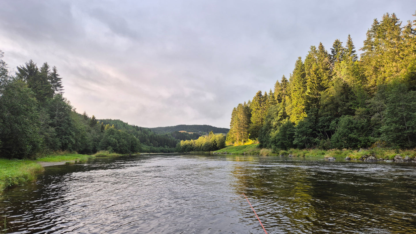 Fishing trip - Orkla - week 35 - Øverøyen, Vella Snoen & Unnteigen