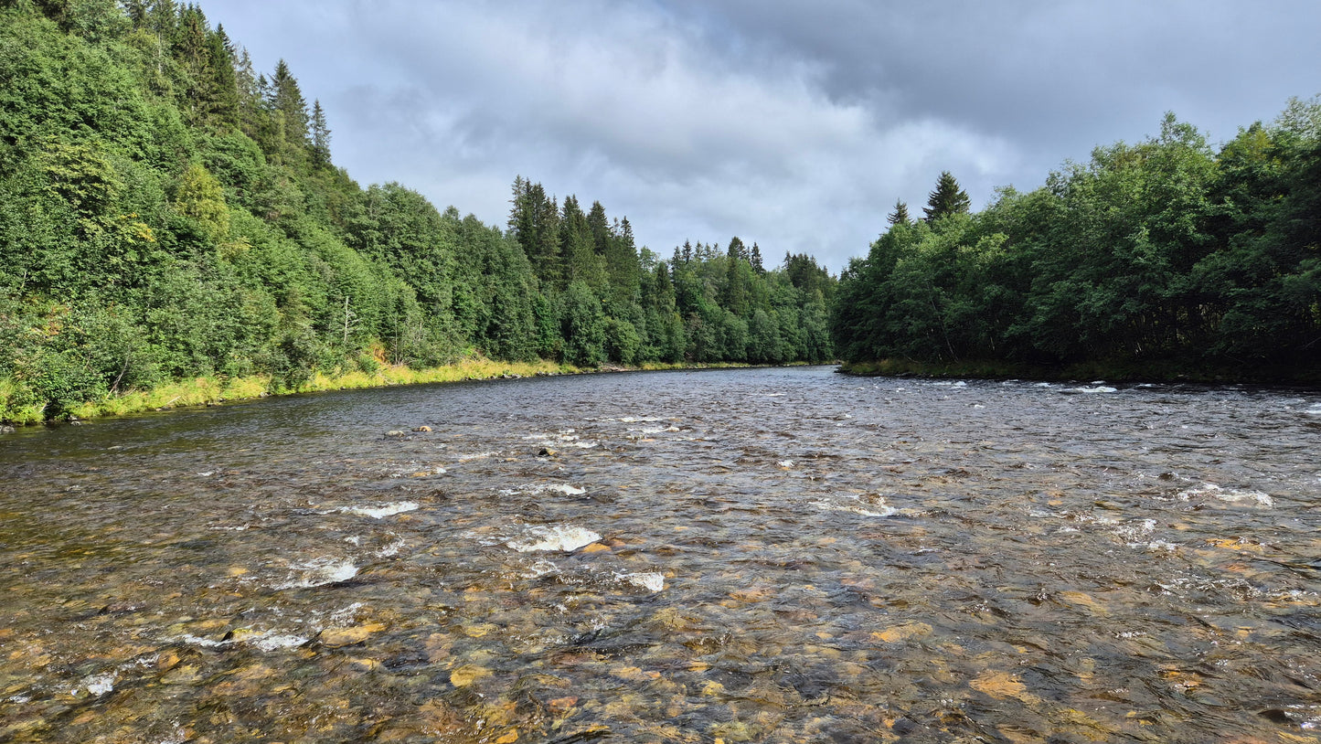 Fishing trip - Orkla - week 35 - Øverøyen, Vella Snoen & Unnteigen