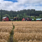 Fishing trip - Orkla - week 35 - Øverøyen, Vella Snoen & Unnteigen
