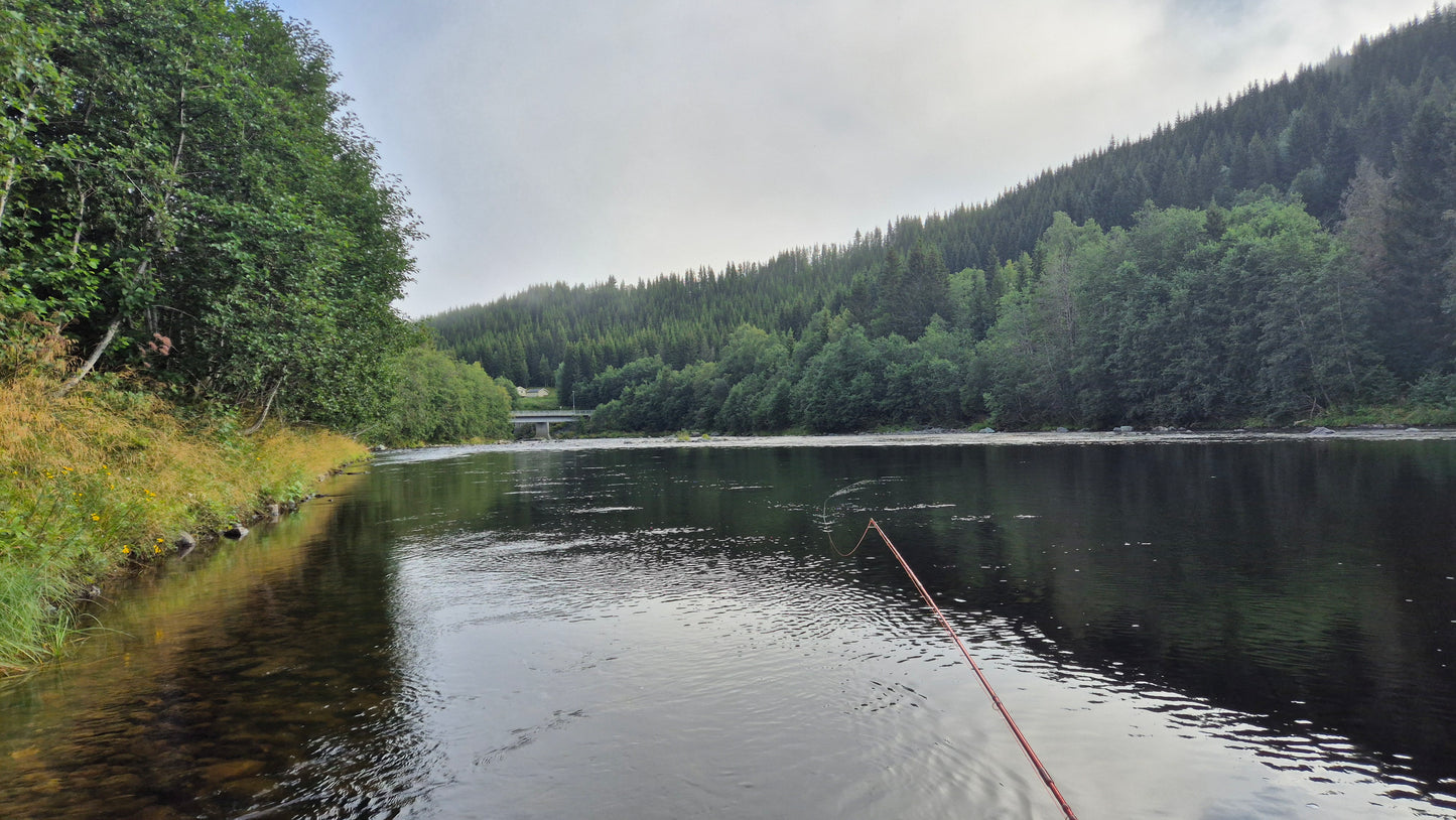 Fishing trip - Orkla - week 35 - Øverøyen, Vella Snoen & Unnteigen