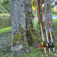Fishing trip - Orkla - week 35 - Øverøyen, Vella Snoen & Unnteigen