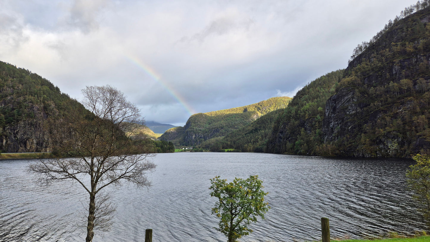 Fiskerejse til Suldalslågen (sydvest Norge) - uge 39