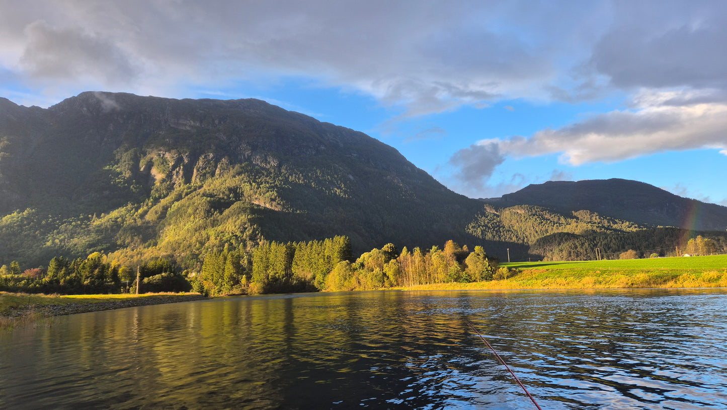 Fiskerejse til Suldalslågen (sydvest Norge) - uge 39