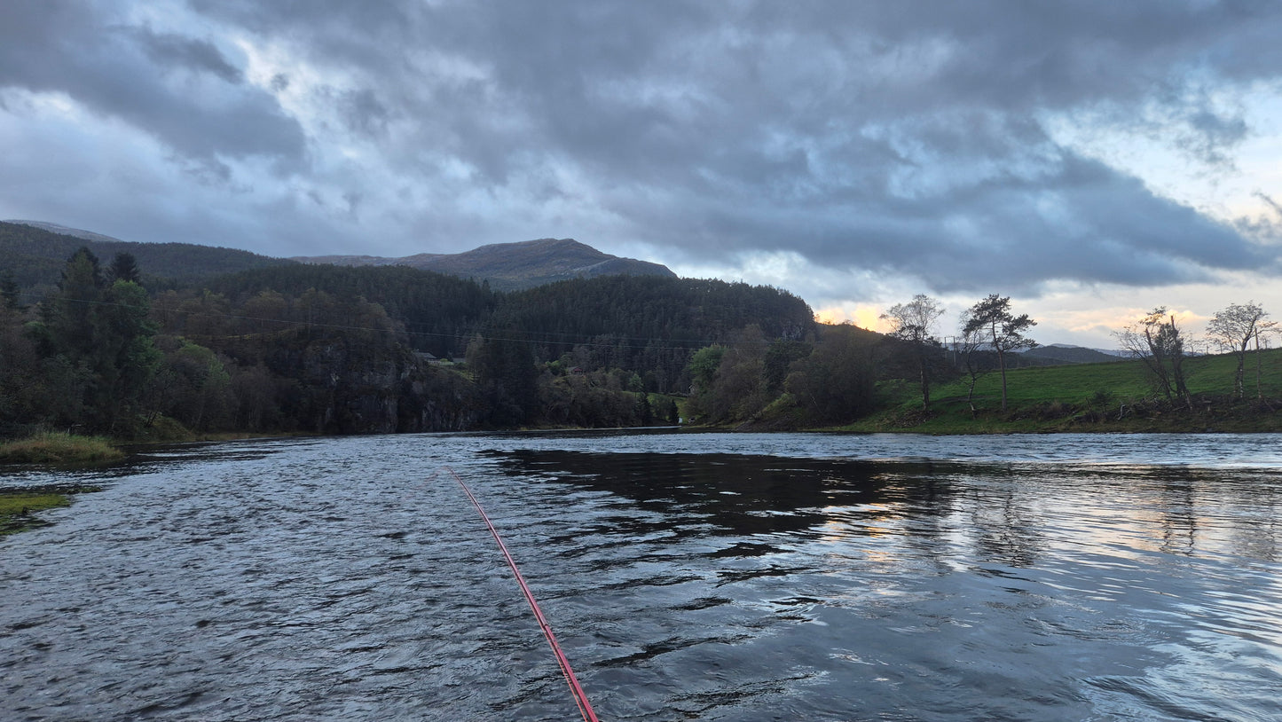 Fiskerejse til Suldalslågen (sydvest Norge) - uge 39