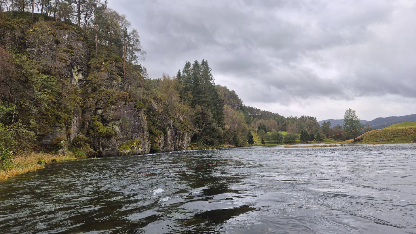 Fiskerejse til Suldalslågen (sydvest Norge) - uge 39