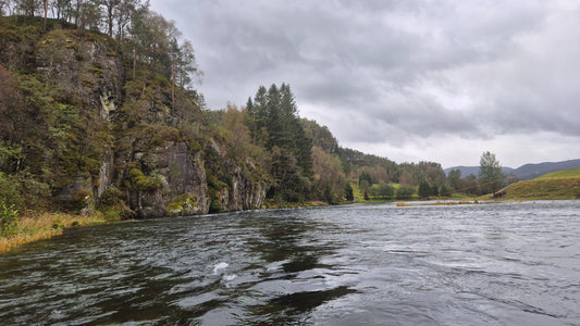 Fiskerejse til Suldalslågen (sydvest Norge) - uge 39