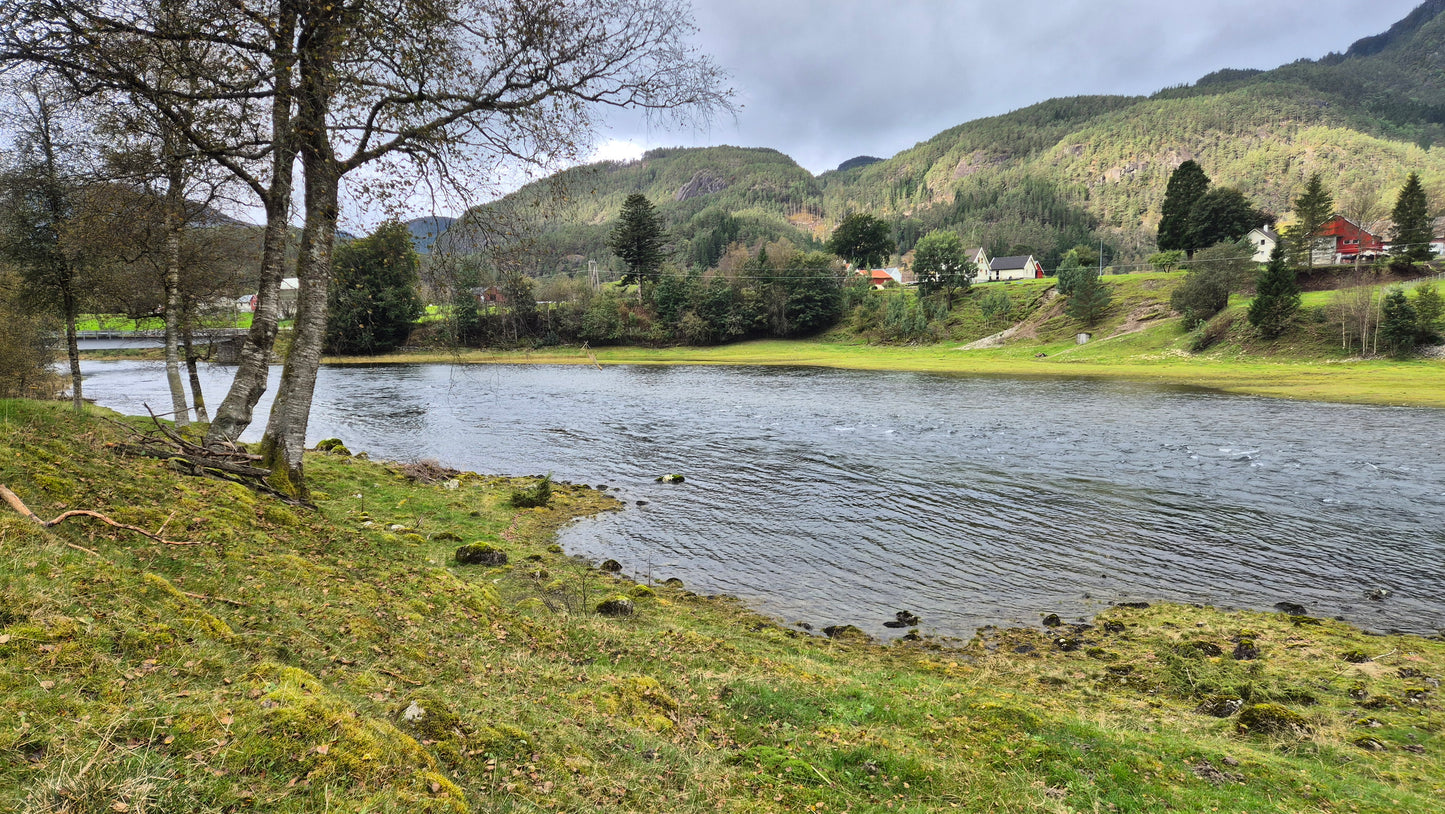 Fiskerejse til Suldalslågen (sydvest Norge) - uge 39