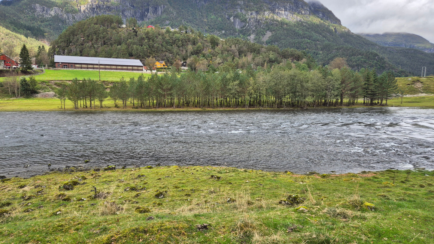 Fiskerejse til Suldalslågen (sydvest Norge) - uge 39