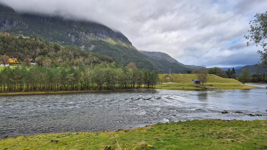 Fishing trip - Suldalslågen - week 39 - Øvre Hiim/Skoti & Sørestad