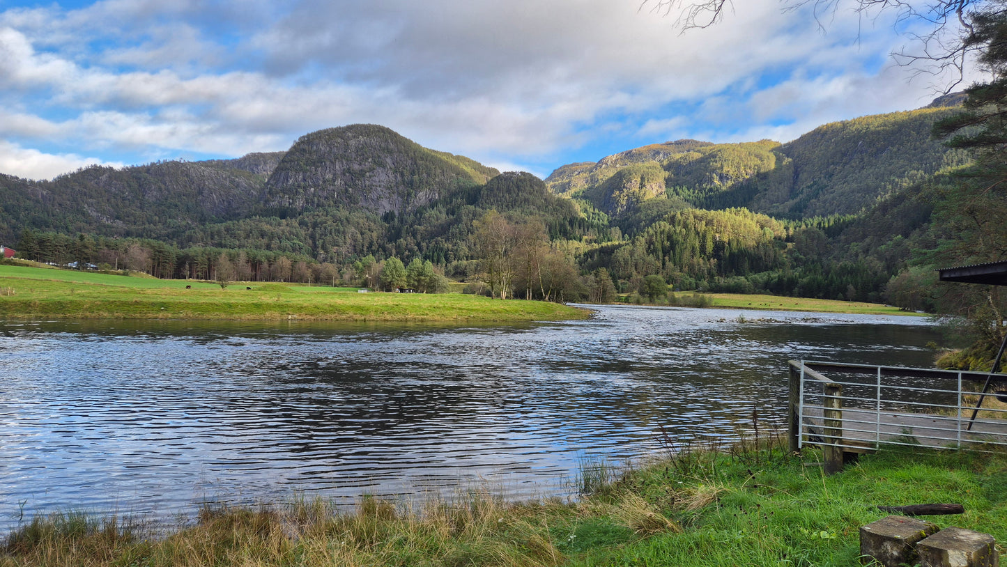 Fiskerejse til Suldalslågen (sydvest Norge) - uge 39