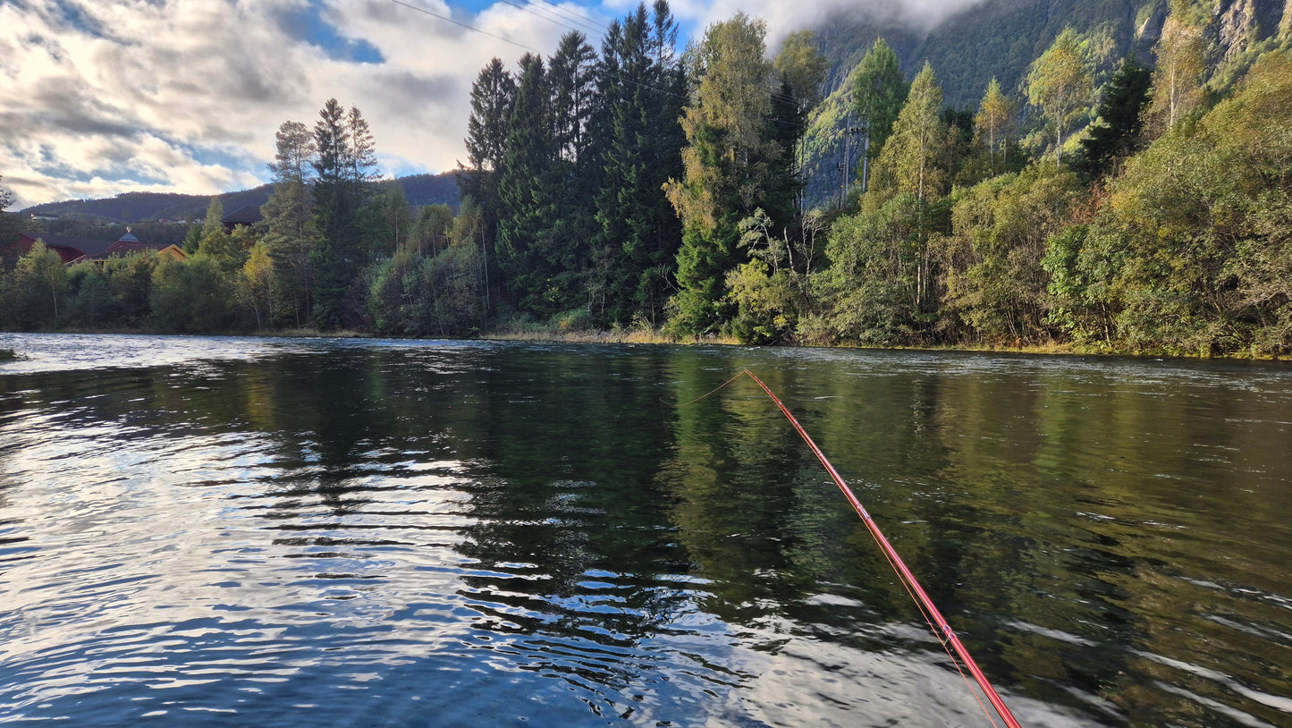 Fiskerejse til Suldalslågen (sydvest Norge) - uge 39