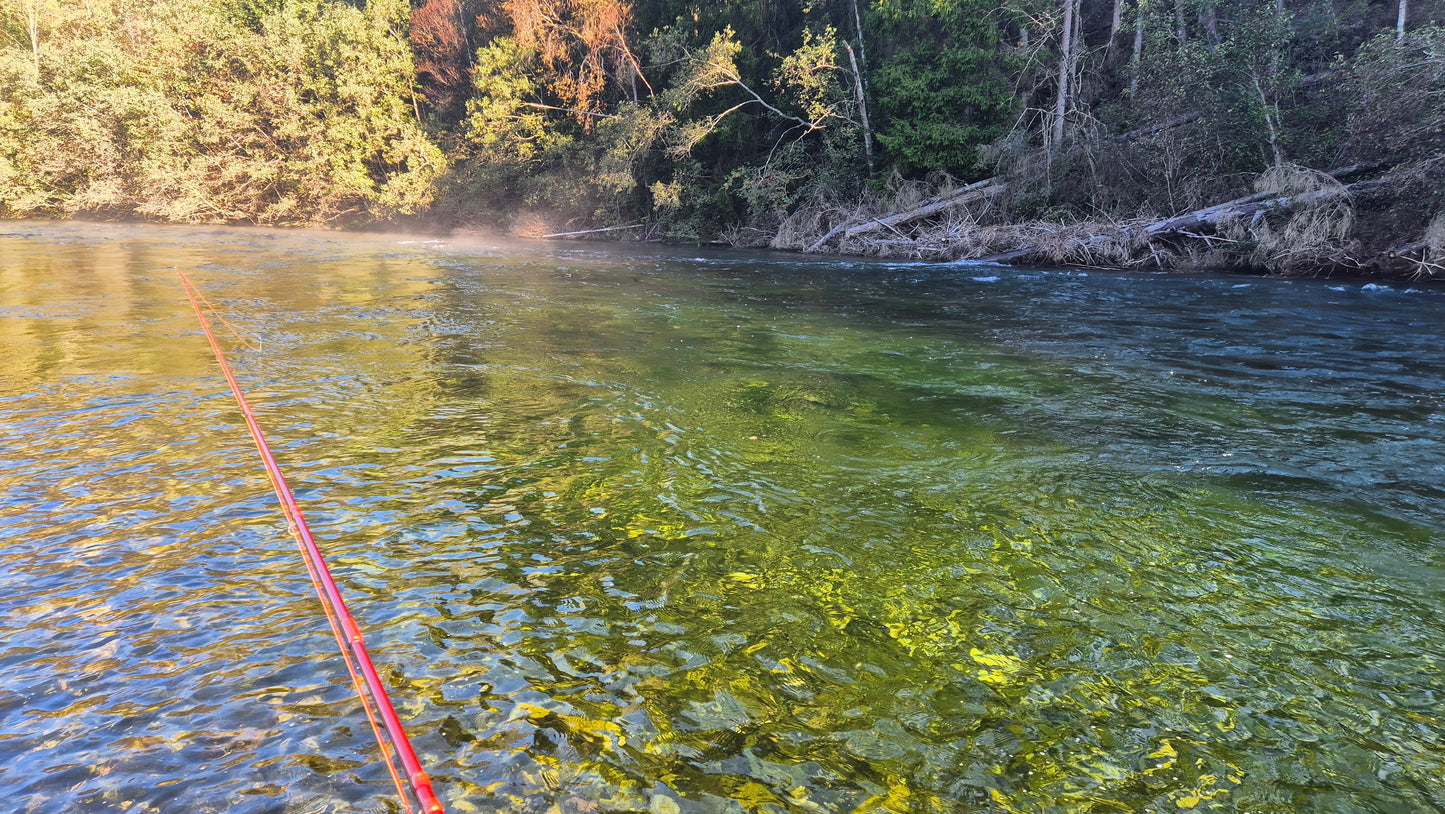 Fiskerejse til Suldalslågen (sydvest Norge) - uge 39