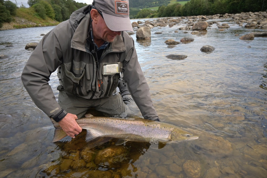 Fishing trip - Premiere fishing in Orkla - week 23 - Bruhølen and Steinshølen